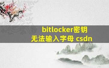 bitlocker密钥无法输入字母 csdn